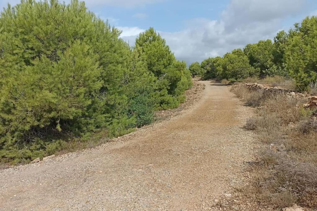 Bungalow En Primera Linea Del Mar Arenales del Sol Eksteriør billede