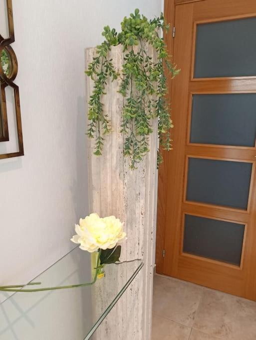 Bungalow En Primera Linea Del Mar Arenales del Sol Eksteriør billede