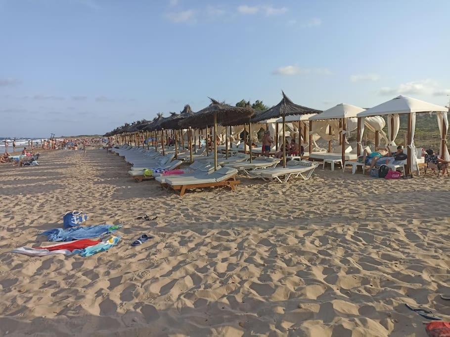 Bungalow En Primera Linea Del Mar Arenales del Sol Eksteriør billede